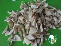 ������� � �������� � ������������ �����������