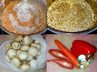 ������ � ������������ � ������� �����������