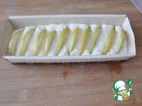 ������� ������-��������� ���� �����������