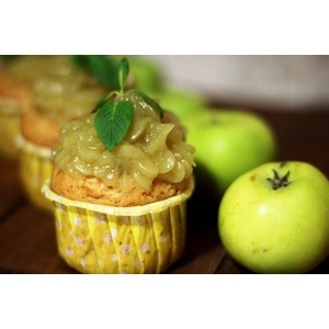 ������� �������� "���������"