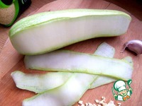 ������ � ��������-����� �����������