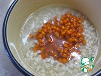 ������ ������� ����������-������������ �����������