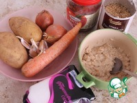 ������� ������-������������ ������ �����������