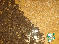 ������������ ��������� ���� �����������