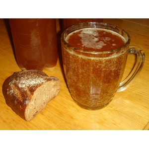 ������������ ��������� ����