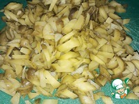 ���������� ��������� ��� ���� �����������