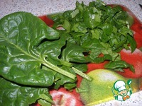 ������ � ������� �����������