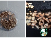 ������������ ����� �����������