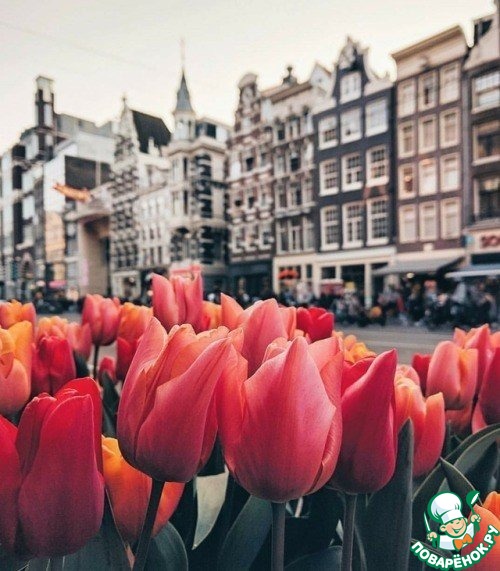 ��� ������ ���������!