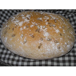 ������-��������� ����