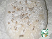 ������-��������� ���� �����������