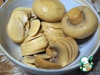 ������ � ������������ �������� �����������