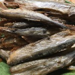 � ��� ��� �����, �����