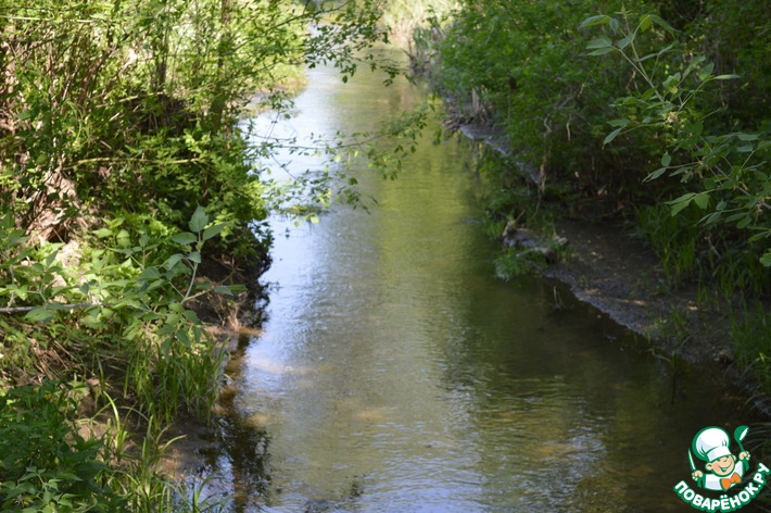 �������� ��������