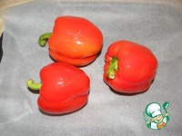 �����, ���������� � ����� �����������