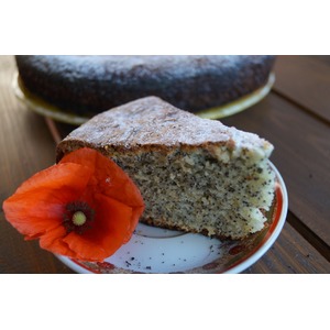 �������� �� �������