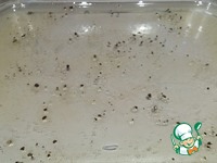 �������, ���������� � ����������� ������� �����������