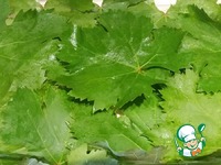 �������, ���������� � ����������� ������� �����������