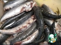 �������, ���������� � ����������� ������� �����������