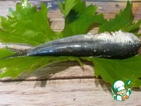 �������, ���������� � ����������� ������� �����������