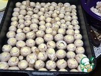 ����������, ���������� � ����� �����������