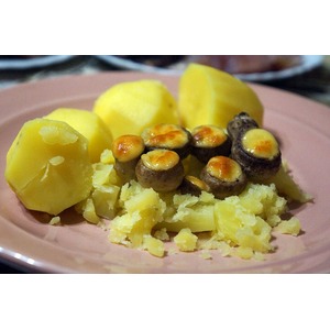 ����������, ���������� � �����