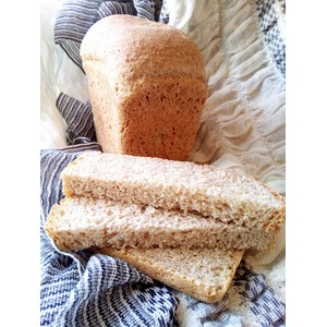 ���� ��������� �������������� "���� �������"