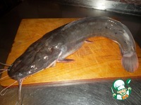 ������� �� ���� � ������� �����������