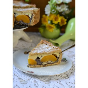 ��������-������� ����� � ����������