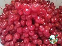 ������ � ������� �����������