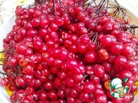 ������ � ������� �����������