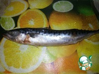 �������� � ������������� ��� �������������� �����������