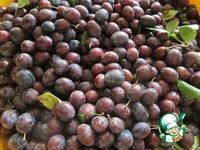 ������������ �����-��������� �����������