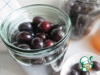 ������������ �����-��������� �����������