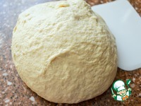 ����� � ����� � ������� "������-����������" �����������