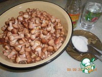 ����� ������������ �����������