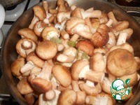 ����� ������������ �����������