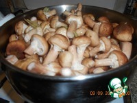 ����� ������������ �����������