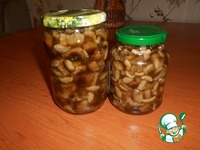 ����� ������������ �����������