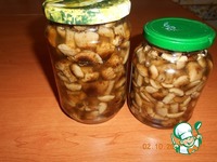 ����� ������������ �����������