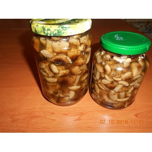 ����� ������������