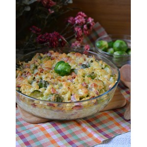 ��������� � ���������� � ������������ ��������