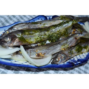 ����� ������� ������