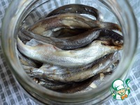 ����� ������� ������ �����������