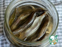 ����� ������� ������ �����������