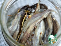 ����� ������� ������ �����������