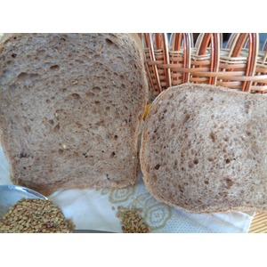 ���� � ����������