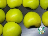 ����� �� �������� �����������