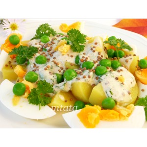 ������������ ����� � ���������� ������