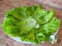 ����� �� ����� ������ �����������